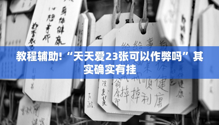 教程辅助!“天天爱23张可以作弊吗”其实确实有挂