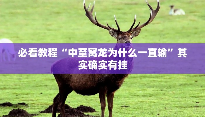 疫情姆母最新消息今天（疫情情况最新消息2021）