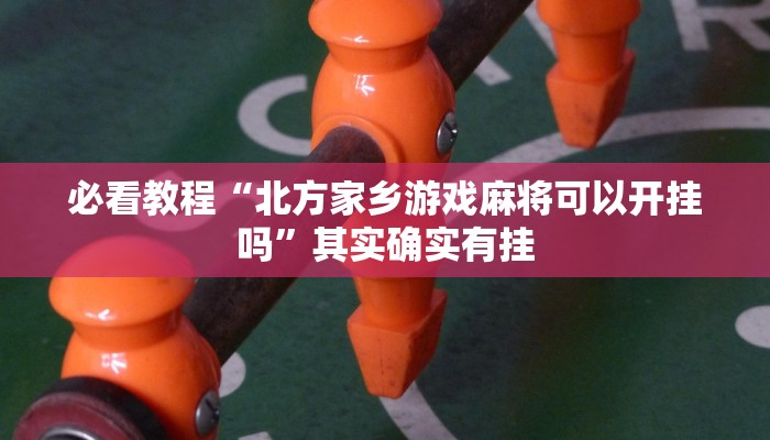 教程辅助!“天天重庆麻将外卦神器下载安装”其实确实有挂