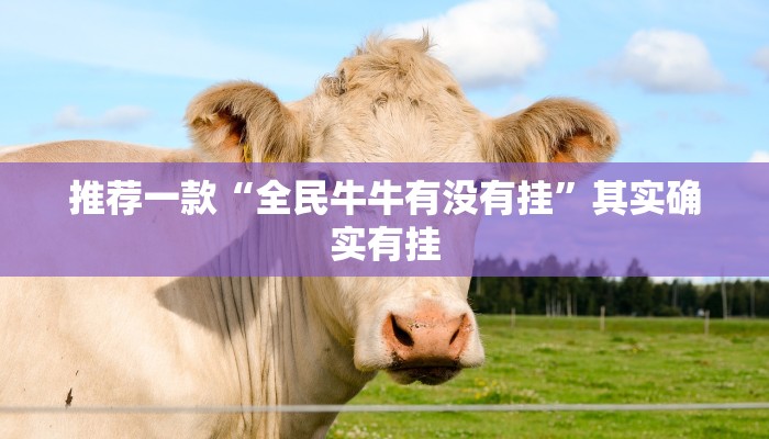 推荐一款“微乐北京麻将开挂免费下载安装”其实确实有挂