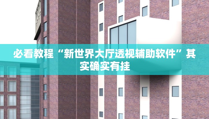 必看教程“新世界大厅透视辅助软件”其实确实有挂