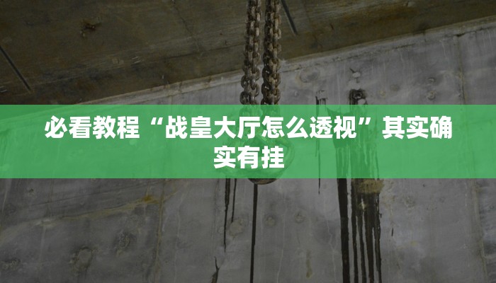 必看教程“战皇大厅怎么透视”其实确实有挂