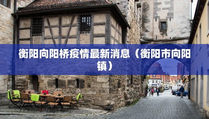 衡阳向阳桥疫情最新消息（衡阳市向阳镇）