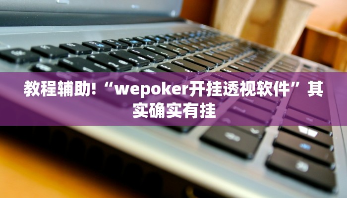 教程辅助!“wepoker开挂透视软件”其实确实有挂