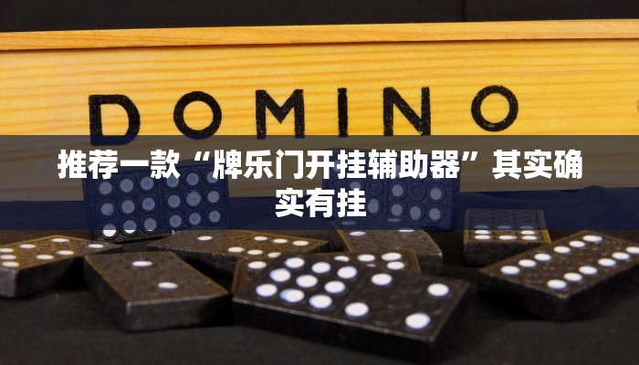 教程辅助!“大唐麻将规律破解教程”其实确实有挂