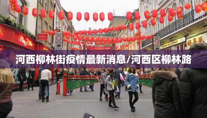 河西柳林街疫情最新消息/河西区柳林路
