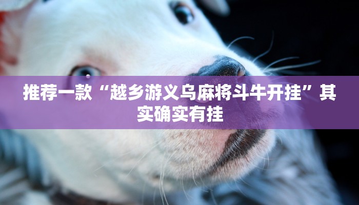 教程辅助!“陕麻圈有挂吗”其实确实有挂