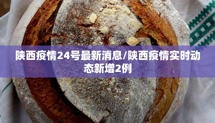 陕西疫情24号最新消息/陕西疫情实时动态新增2例