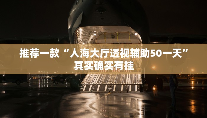推荐一款“人海大厅透视辅助50一天”其实确实有挂