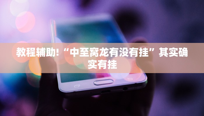 教程辅助!“中至窝龙有没有挂”其实确实有挂