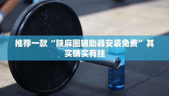 推荐一款“陕麻圈辅助器安装免费”其实确实有挂