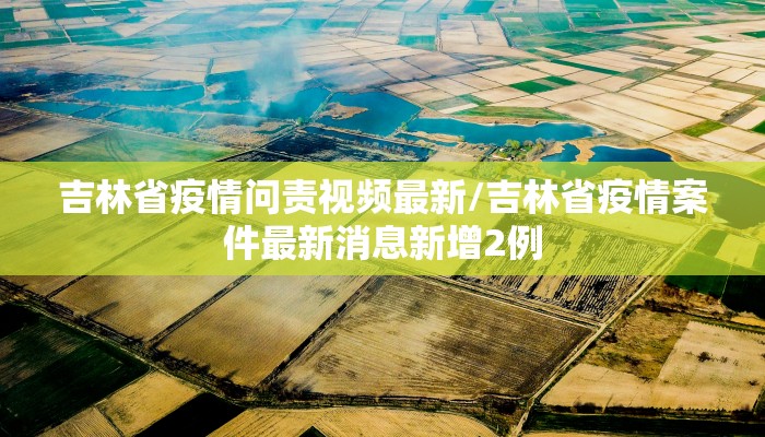 教程辅助!“多乐跑胡子免费开挂”其实确实有挂