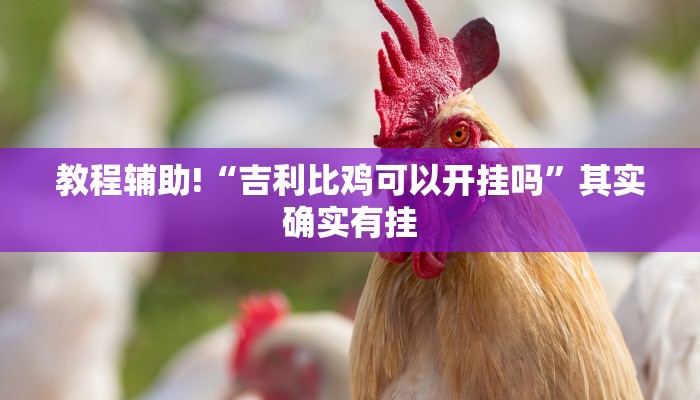 教程辅助!“吉利比鸡可以开挂吗”其实确实有挂