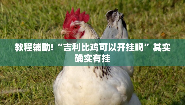 教程辅助!“微乐山西麻将开挂后特征”其实确实有挂