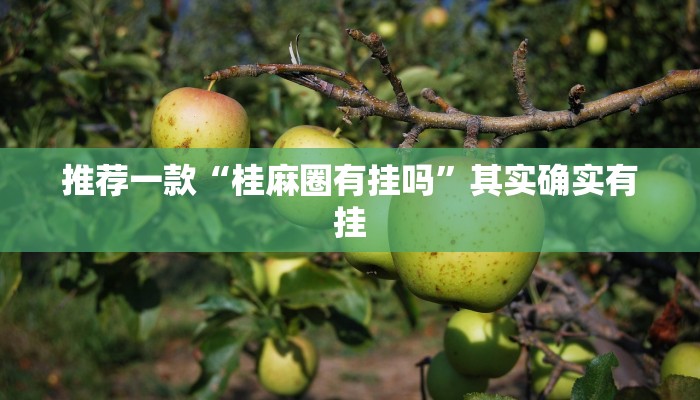 推荐一款“桂麻圈有挂吗”其实确实有挂
