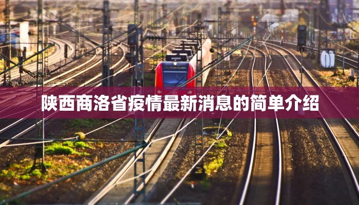 陕西商洛省疫情最新消息的简单介绍