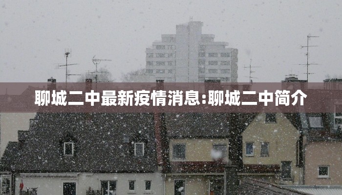 聊城二中最新疫情消息:聊城二中简介