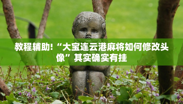 教程辅助!“大宝连云港麻将如何修改头像”其实确实有挂