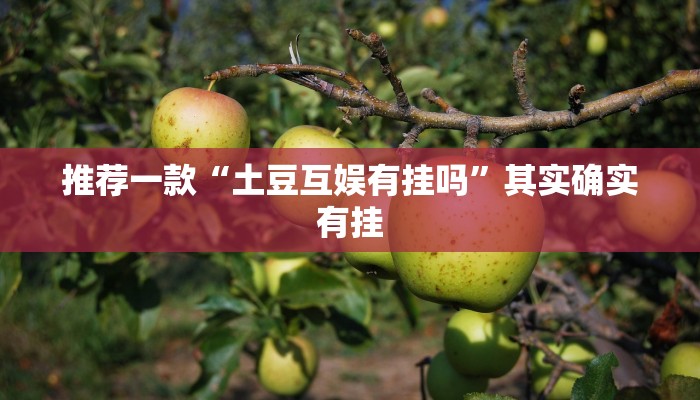安溪县最新疫情防控要求/安溪县疫情发布
