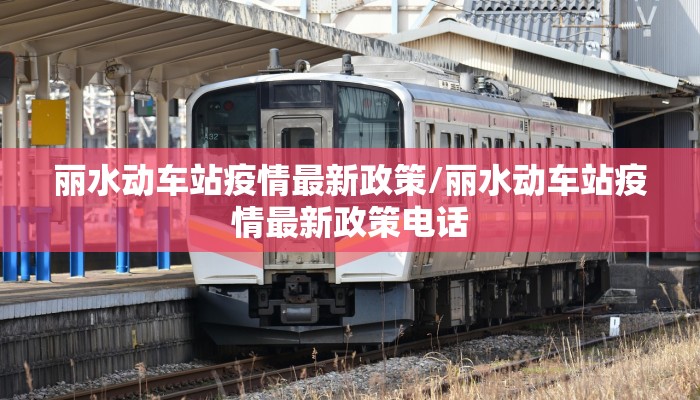 丽水动车站疫情最新政策/丽水动车站疫情最新政策电话