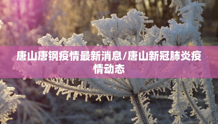 唐山唐钢疫情最新消息/唐山新冠肺炎疫情动态