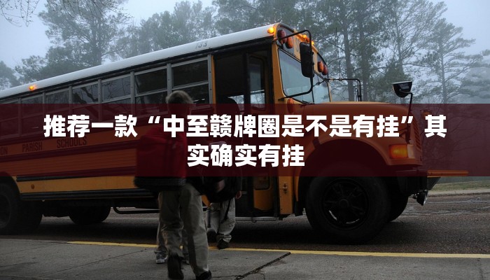 推荐一款“中至赣牌圈是不是有挂”其实确实有挂