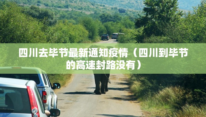 教程辅助!“微乐怎么让系统给你发好牌”其实确实有挂