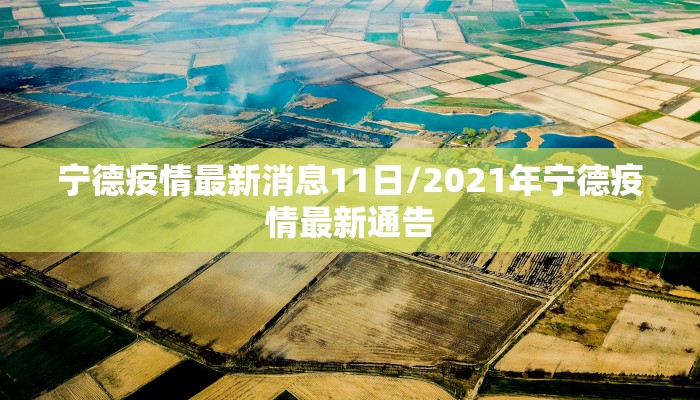 宁德疫情最新消息11日/2021年宁德疫情最新通告