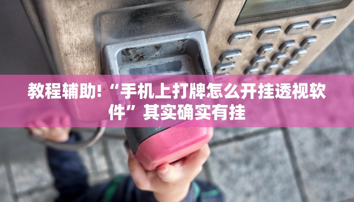 教程辅助!“手机上打牌怎么开挂透视软件”其实确实有挂