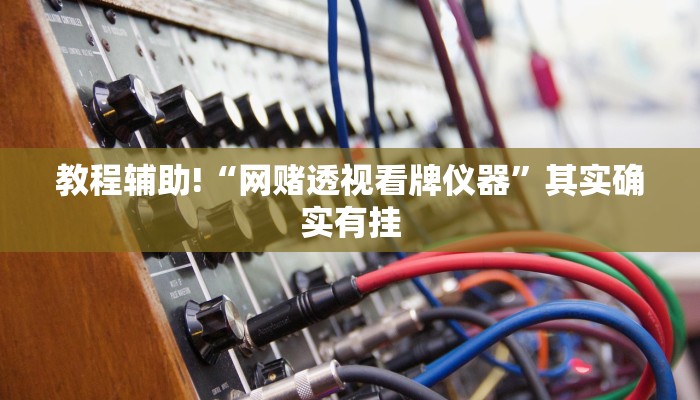 教程辅助!“青鸟大厅拼三张透视挂”其实确实有挂