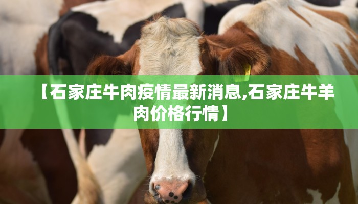 【吉林市3月11疫情最新,吉林市最新疫情疑似病例】