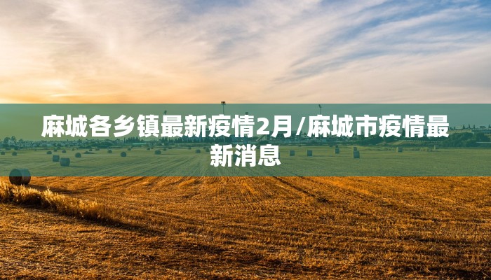 教程辅助!“小程序微乐开挂下载安装”其实确实有挂
