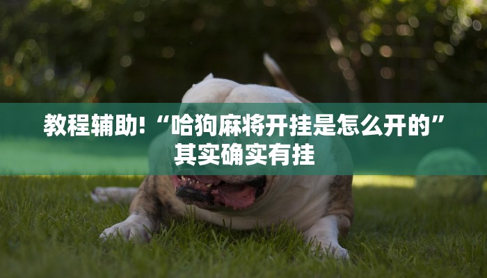 重庆疫情最新消息流调/重庆疫情最新通知