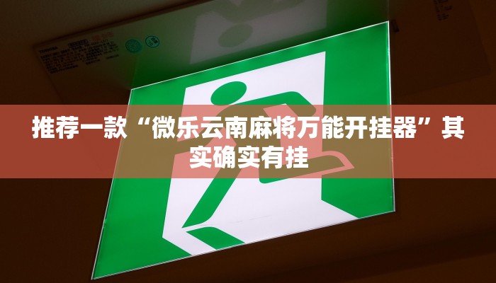 教程辅助!“微乐家乡麻将免费开挂”其实确实有挂