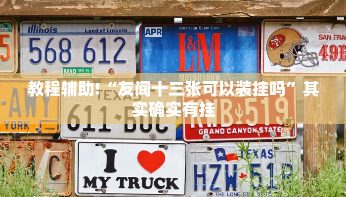 教程辅助!“友间十三张可以装挂吗”其实确实有挂