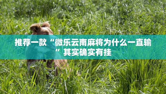 教程辅助!“微乐麻将开挂教程演示”其实确实有挂
