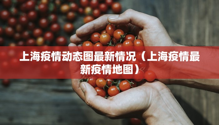 上海疫情动态图最新情况（上海疫情最新疫情地图）