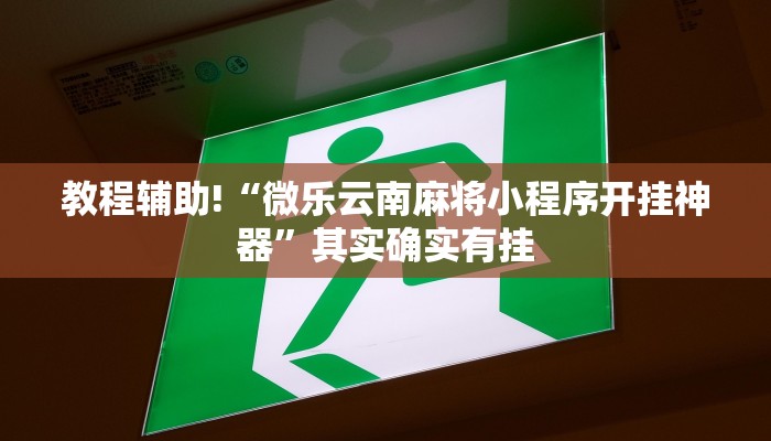 推荐一款“福州十八扑辅助挂”其实确实有挂