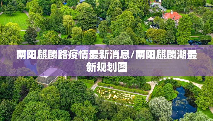 天心区最新防疫情况公告/天心区疫情轨迹