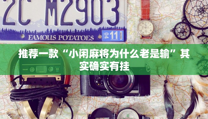推荐一款“小闲麻将为什么老是输”其实确实有挂