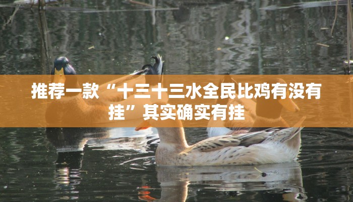 推荐一款“十三十三水全民比鸡有没有挂”其实确实有挂
