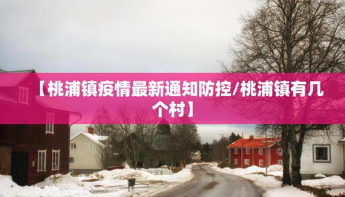 教程辅助!“赣牌圈吉安王炸怎么开挂”其实确实有挂