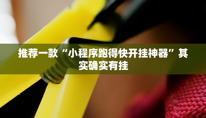 推荐一款“小程序跑得快开挂神器”其实确实有挂