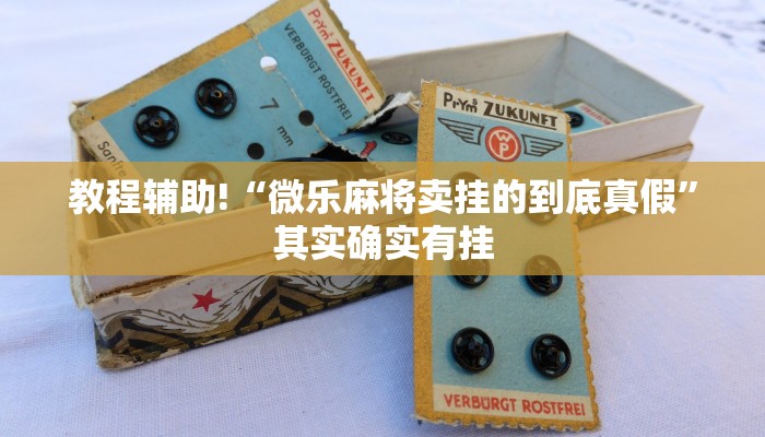 教程辅助!“微乐麻将卖挂的到底真假”其实确实有挂