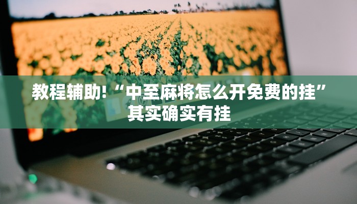 教程辅助!“中至麻将怎么开免费的挂”其实确实有挂