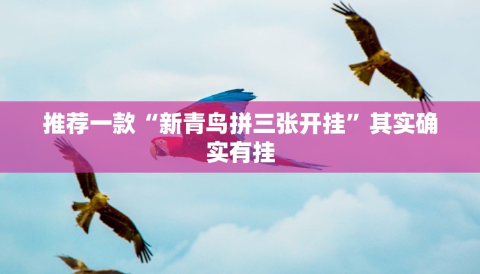 推荐一款“新青鸟拼三张开挂”其实确实有挂