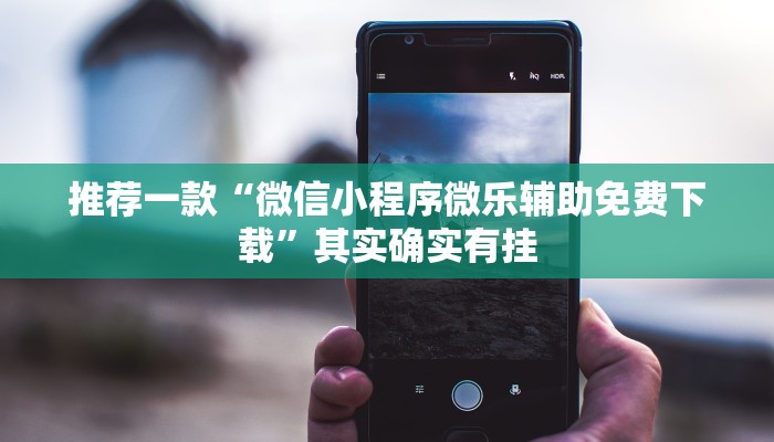 推荐一款“微信小程序微乐辅助免费下载”其实确实有挂