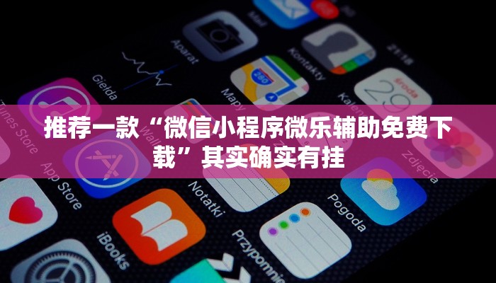 教程辅助!“博乐填大坑免费透视软件下载”其实确实有挂