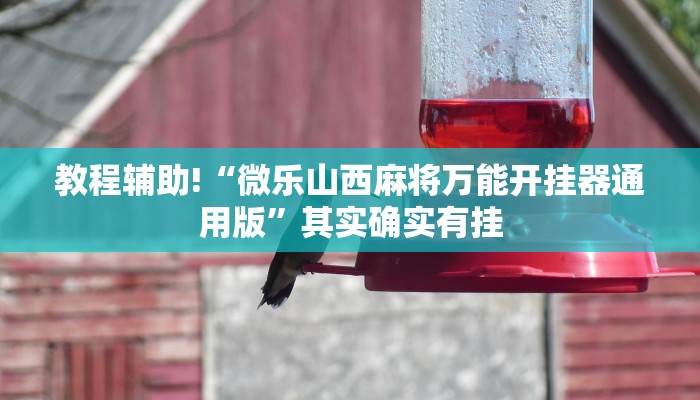 教程辅助!“小闲巴渝棋牌怎样开挂”其实确实有挂