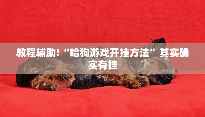 推荐一款“越乡游义乌麻将怎么开挂”其实确实有挂